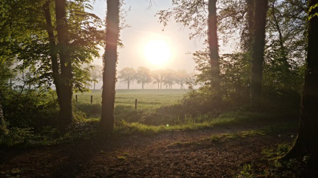 Dauwtrappen (donderdag 13 mei 2021)